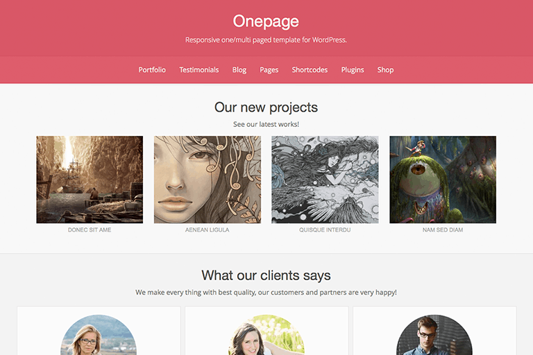 Onepage WordPress Theme